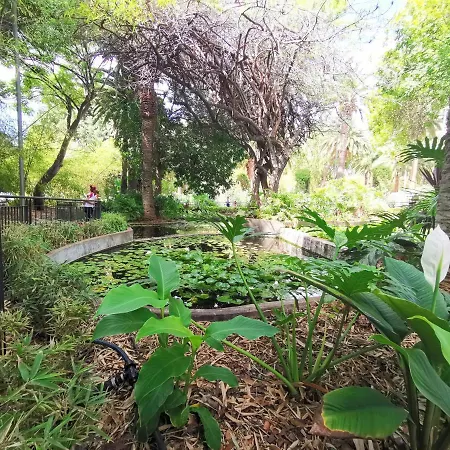 Home2book Cosy Sanabria Park Σάντα Κρουζ Τενερίφης
